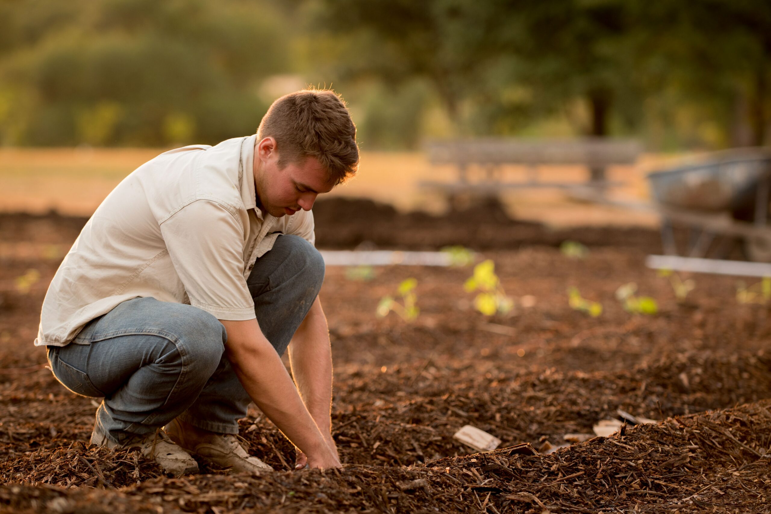 Rural confidence declining