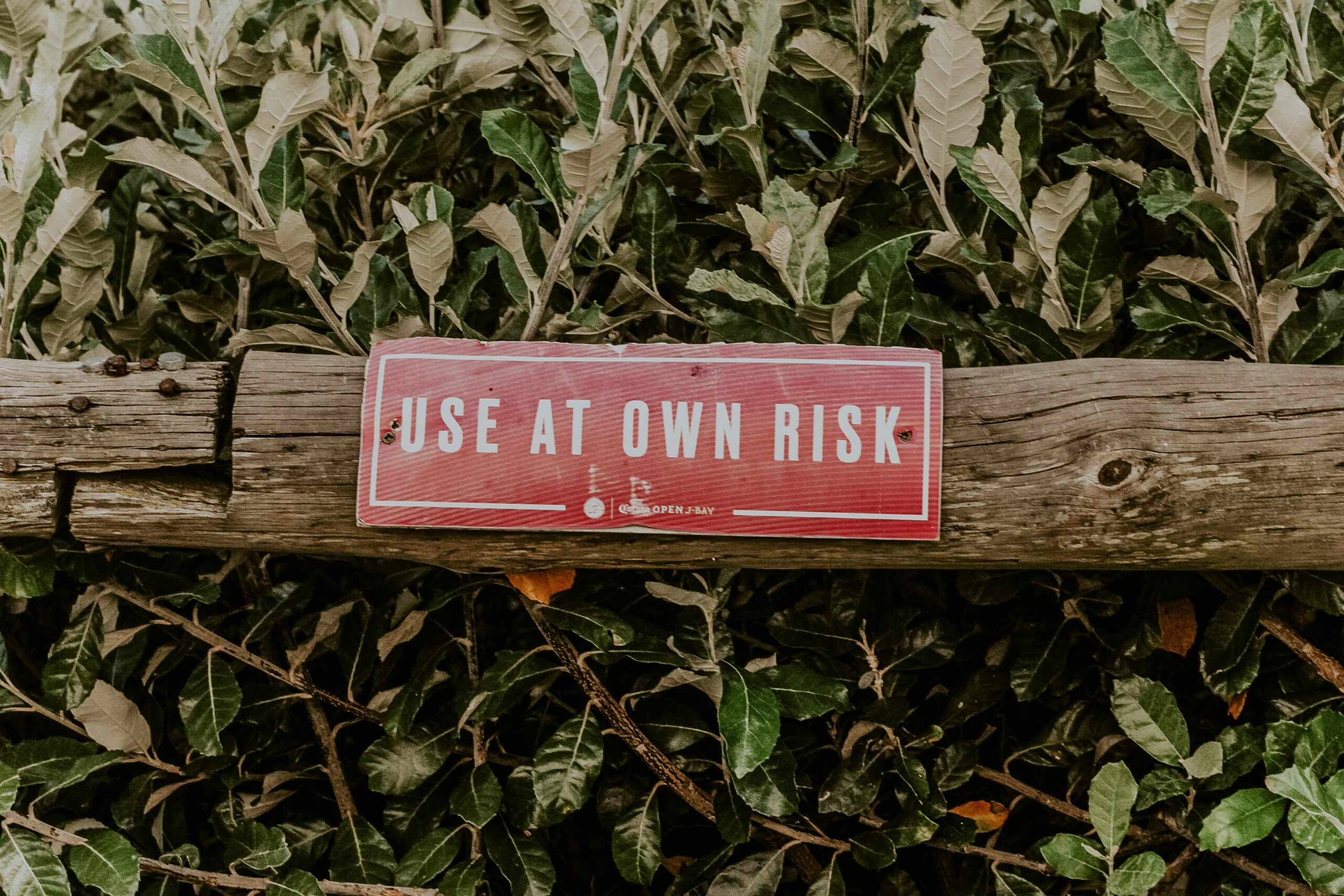 risk takers