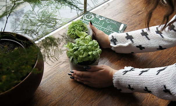 Sustainability Action Tool